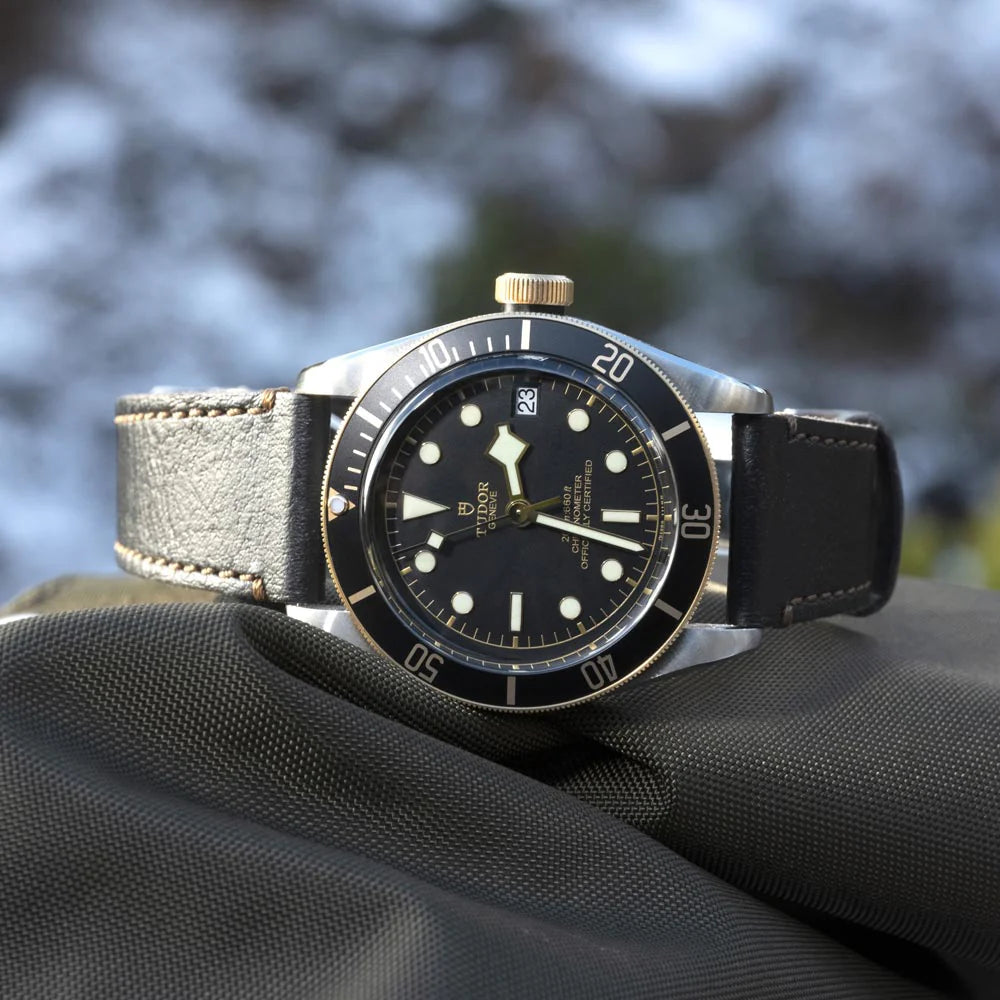 Tudor Black Bay Heritage Steel & Gold M79733N-0007 41MM *Pre-Owned