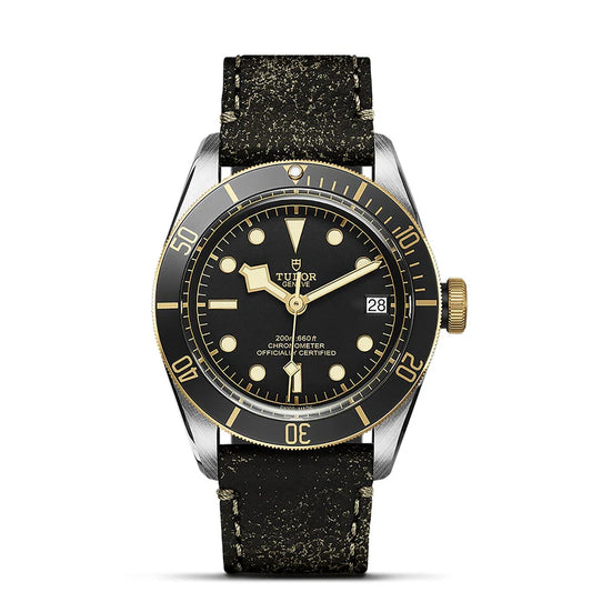 Tudor Black Bay Heritage Steel & Gold M79733N-0007 41MM *Pre-Owned